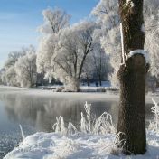 O Martinovi na bílém koni z pohledu vědy