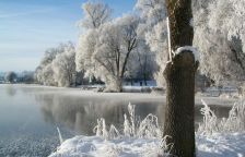 O Martinovi na bílém koni z pohledu vědy