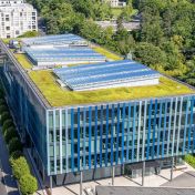 Zelené střechy ve městech dokáží zachytit neuvěřitelné množství mikroplastů
