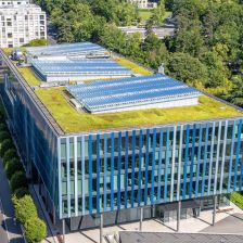 Zelené střechy ve městech dokáží zachytit neuvěřitelné množství mikroplastů