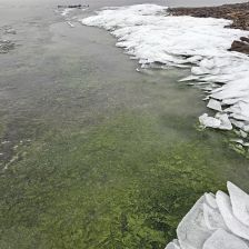 Zelený led na Lipně