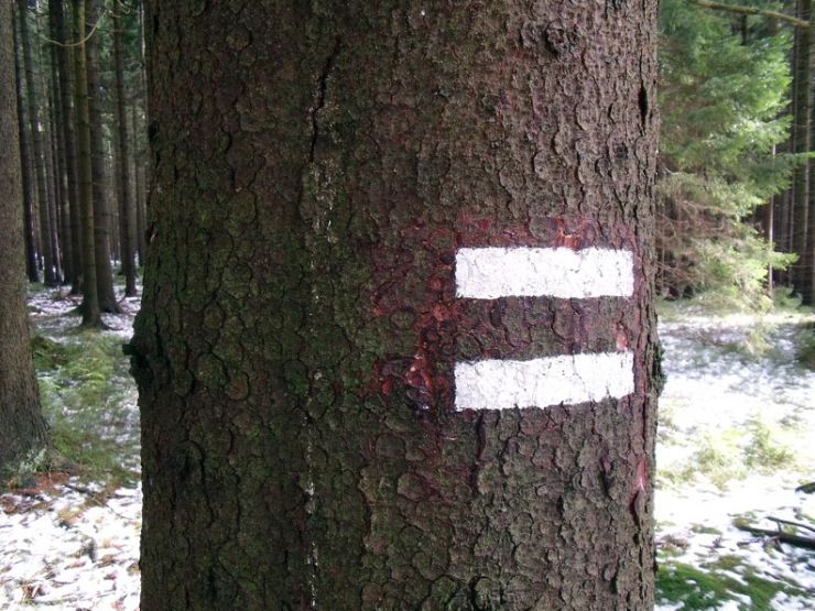 zobrazit detail snímku: Lesnická značka - označení části elsa