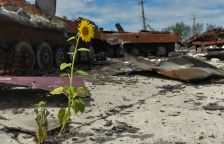 Válka na Ukrajině ničí vzácnou přírodu. Mapa Greenpeace vám ukáže, kolik škody válčící Rusové už napáchali