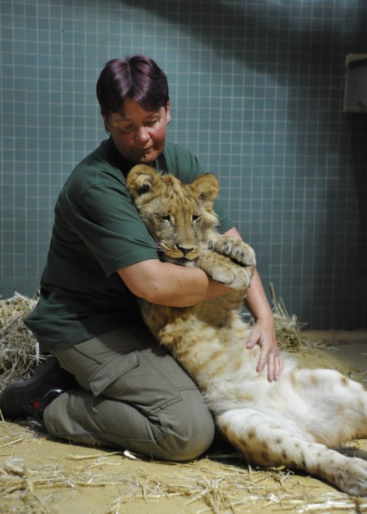zobrazit detail snímku: Mláďata ze ZOO