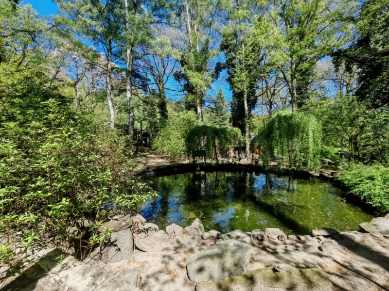 ZOO Děčín - jezírko - klikněte pro zobrazení detailu ZOO Děčín - jezírko - klikněte pro zobrazení detailu