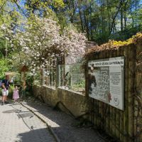 ZOO Děčín - medvědárium - klikněte pro zobrazení detailu