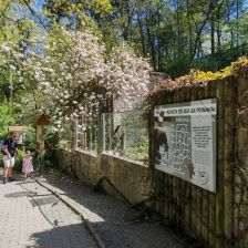 ZOO Děčín - medvědárium