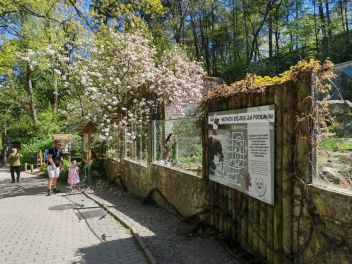 ZOO Děčín - medvědárium - klikněte pro zobrazení detailu ZOO Děčín - medvědárium - klikněte pro zobrazení detailu