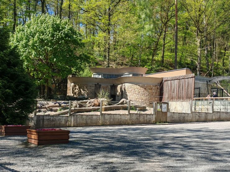 zobrazit detail snímku: ZOO Děčín - medvědárium