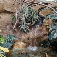 ZOO Děčín - Ptačí svět  - klikněte pro zobrazení detailu