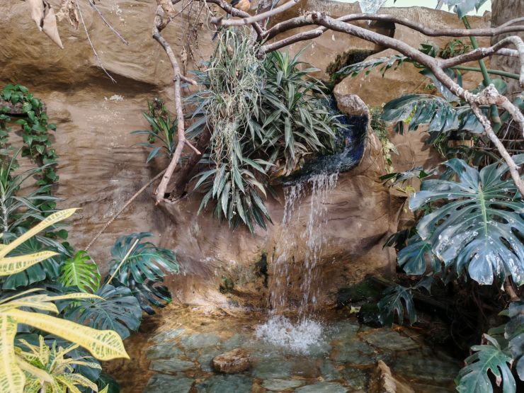 zobrazit detail snímku: ZOO Děčín - Ptačí svět 