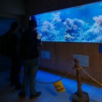 ZOO Děčín - Rajské ostrovy - klikněte pro zobrazení detailu