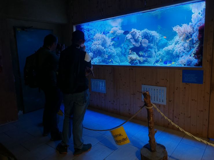 zobrazit detail snímku: ZOO Děčín - Rajské ostrovy