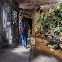 ZOO Děčín - Rajské ostrovy - klikněte pro zobrazení detailu