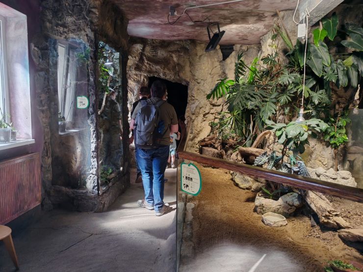 zobrazit detail snímku: ZOO Děčín - Rajské ostrovy