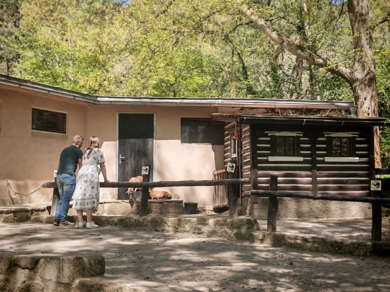 ZOO Děčín - statek - klikněte pro zobrazení detailu ZOO Děčín - statek - klikněte pro zobrazení detailu