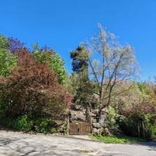 ZOO Děčín