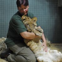 Mláďata ze ZOO - klikněte pro zobrazení detailu