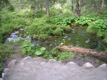 Pramen - klikněte pro zobrazení detailu