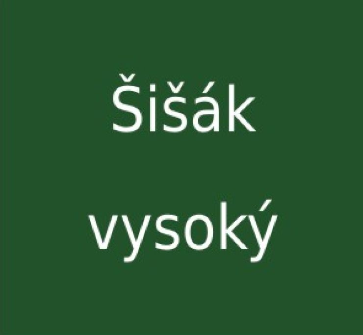zobrazit detail snímku: Šišák vysoký