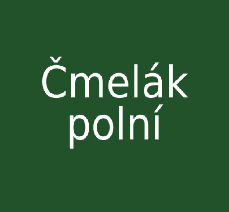 zobrazit detail snímku: Čmelák polní